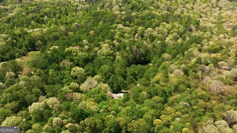 View/Area - 3617 Pea Ridge Rd, Cornelia, GA 30531 photo 6 of 13