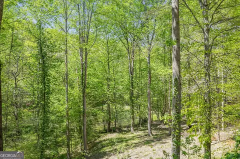 Other - 3617 Pea Ridge Rd, Cornelia, GA 30531 photo 14 of 36