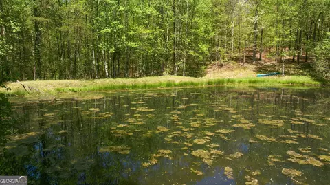 View/Area - 3617 Pea Ridge Rd, Cornelia, GA 30531 photo 5 of 13