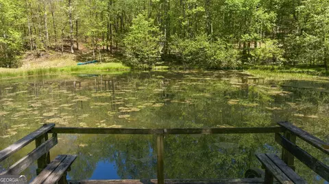 View/Area - 3617 Pea Ridge Rd, Cornelia, GA 30531 photo 1 of 13