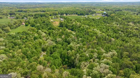 View/Area - 3617 Pea Ridge Rd, Cornelia, GA 30531 photo 10 of 13