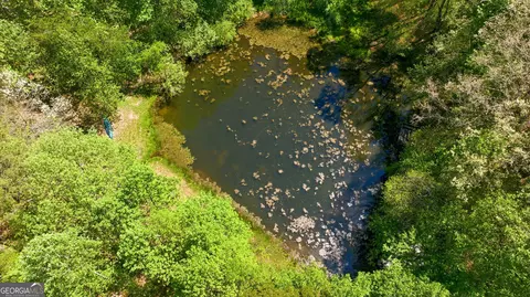 View/Area - 3617 Pea Ridge Rd, Cornelia, GA 30531 photo 2 of 13