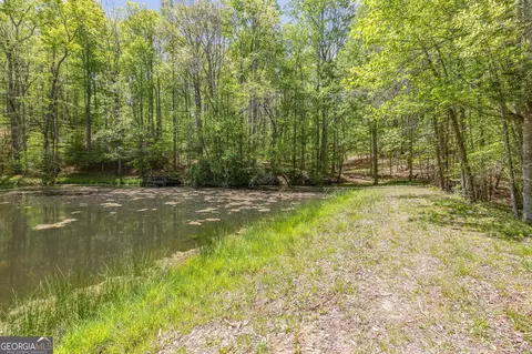 Other - 3617 Pea Ridge Rd, Cornelia, GA 30531 photo 17 of 36
