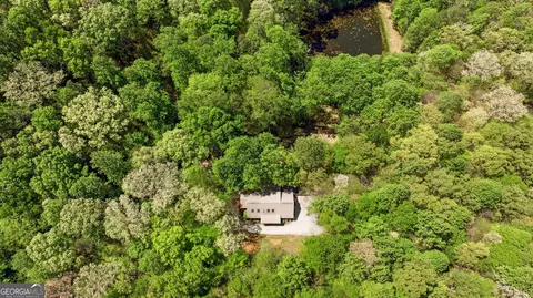 Other - 3617 Pea Ridge Rd, Cornelia, GA 30531 photo 29 of 36