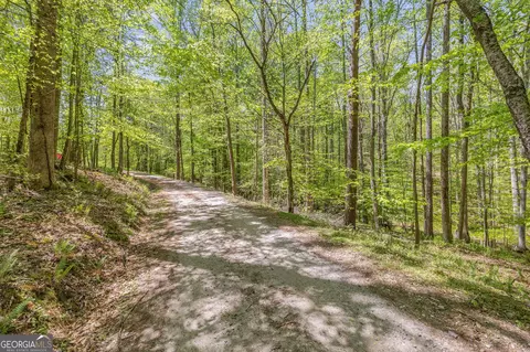 Other - 3617 Pea Ridge Rd, Cornelia, GA 30531 photo 19 of 36