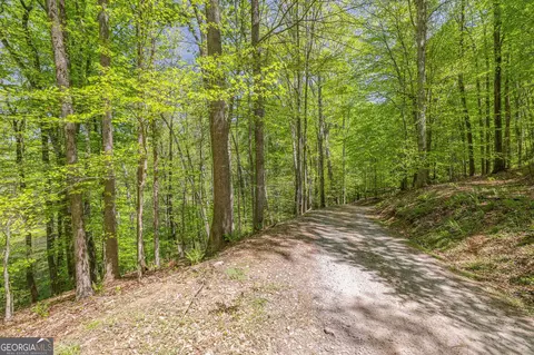 Other - 3617 Pea Ridge Rd, Cornelia, GA 30531 photo 20 of 36