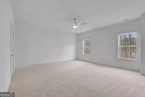 175 Erwin Run, Tyrone, GA 30290 photo 38