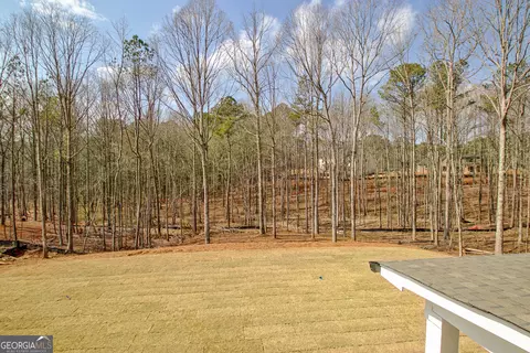 175 Erwin Run, Tyrone, GA 30290 photo 52