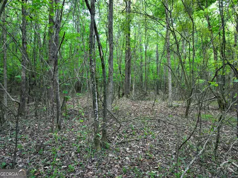 0 Zebulon Rd, Milner, GA 30257 photo 25