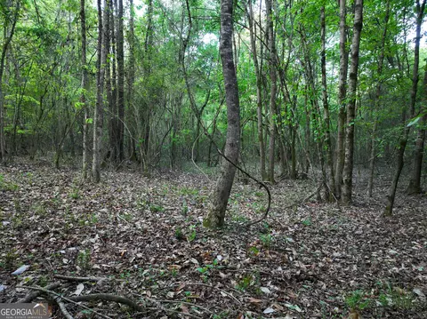 0 Zebulon Rd, Milner, GA 30257 photo 24