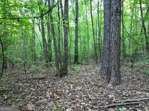 0 Zebulon Rd, Milner, GA 30257 photo 8