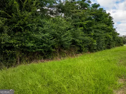 2 8 - Acres Pineway Hwy, Pineview, GA 31071