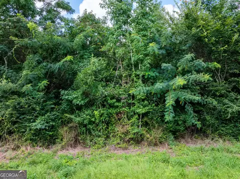 2 8 - Acres Pineway Hwy, Pineview, GA 31071 photo 5