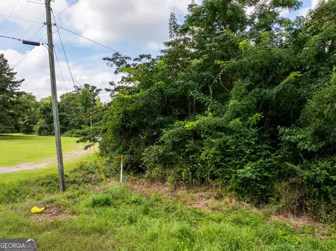 2 8 - Acres Pineway Hwy, Pineview, GA 31071 photo 10