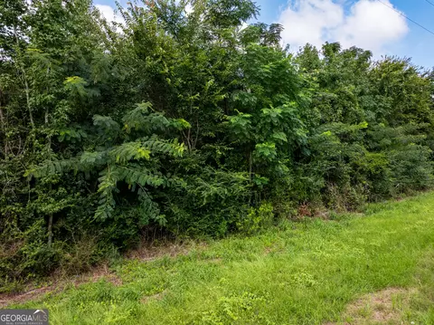 2 8 - Acres Pineway Hwy, Pineview, GA 31071 photo 8
