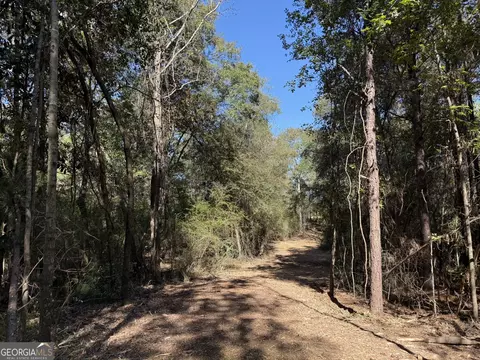 Gh Wallace Buie Road, Webb, AL 36376