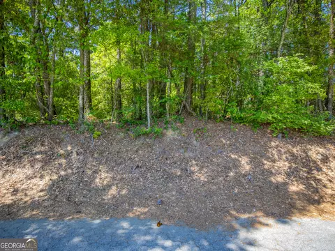 46 Acres Dacula Rd, Dacula, GA 30019 photo 9