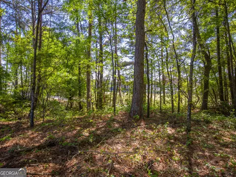 46 Acres Dacula Rd, Dacula, GA 30019 photo 10
