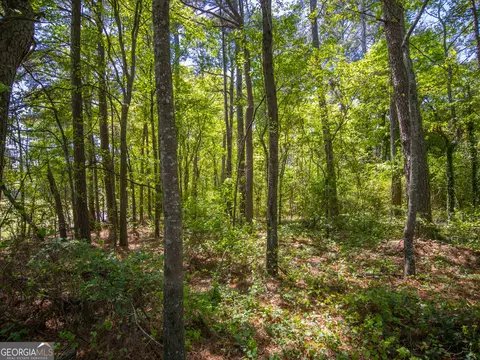 46 Acres Dacula Rd, Dacula, GA 30019 photo 11
