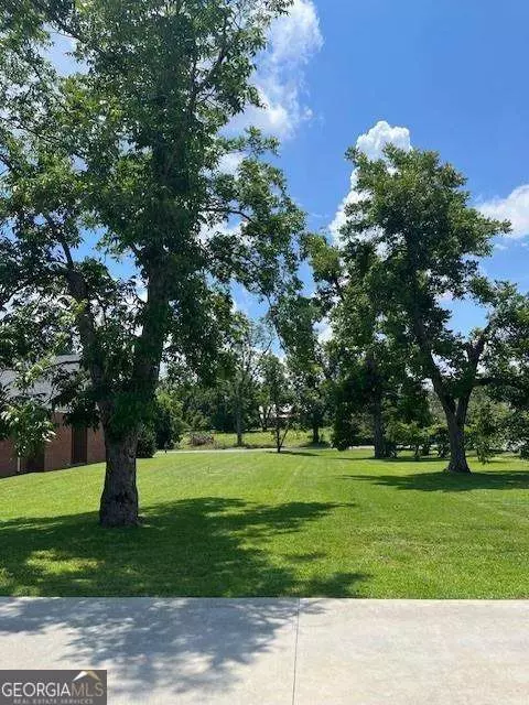 Other - 118 Gum St, Ailey, GA 30410 photo 3 of 5