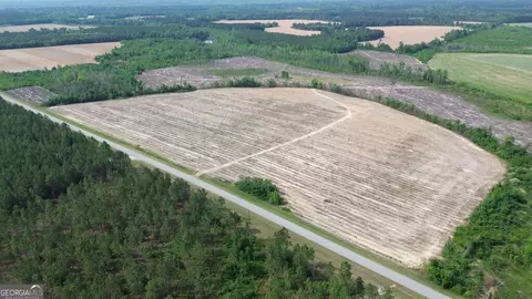 0 Bunn Store Rd #TRACT 3, Midville, GA 30441