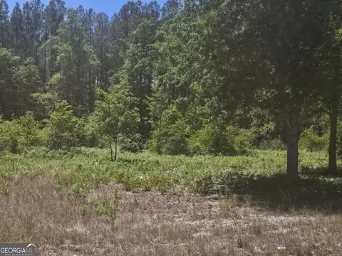 0 Edgar Lane Rd, Millen, GA 30442