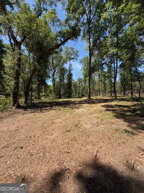 12 Acres Collins Rd, Cairo, GA 39828 photo 9