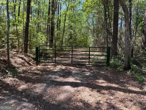 12 Acres Collins Rd, Cairo, GA 39828 photo 11