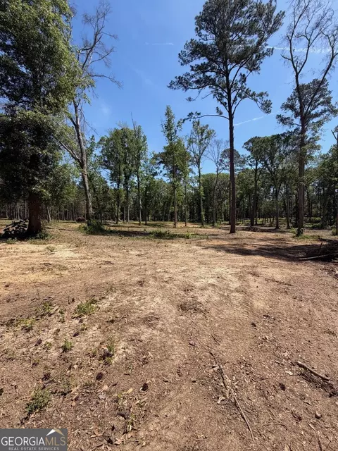 12 Acres Collins Rd, Cairo, GA 39828 photo 3