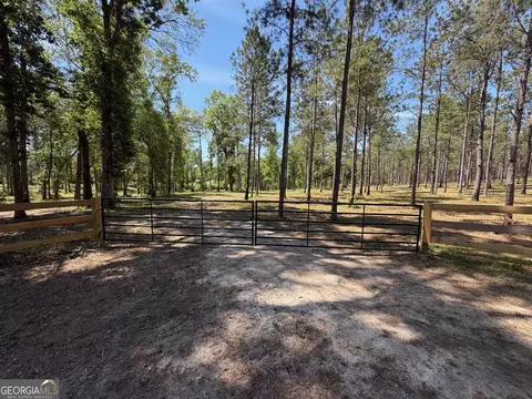 12 Acres Collins Rd, Cairo, GA 39828 photo 10
