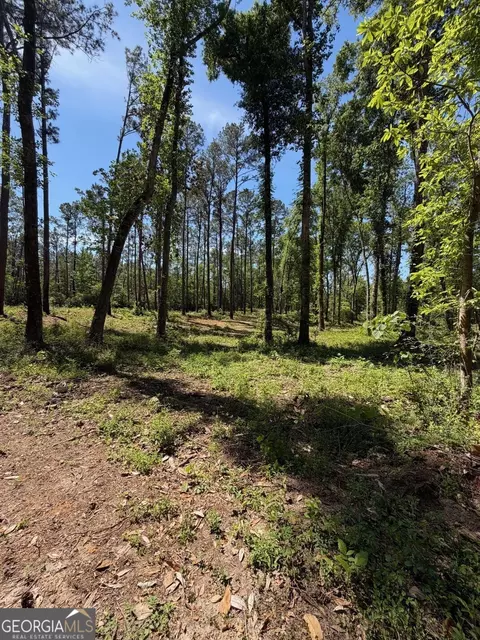 12 Acres Collins Rd, Cairo, GA 39828 photo 8