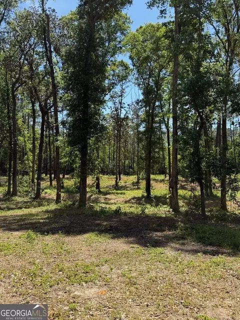12 Acres Collins Rd, Cairo, GA 39828 photo 7