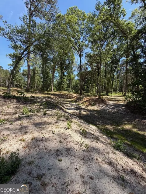 12 Acres Collins Rd, Cairo, GA 39828 photo 4