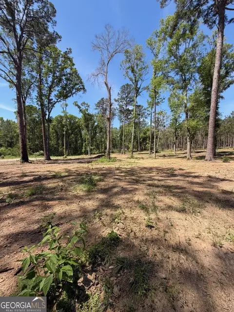 12 Acres Collins Rd, Cairo, GA 39828 photo 5