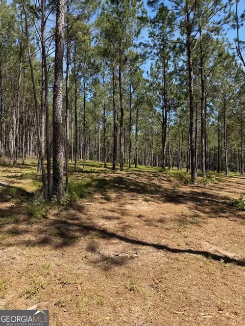 12 Acres Collins Rd, Cairo, GA 39828 photo 2