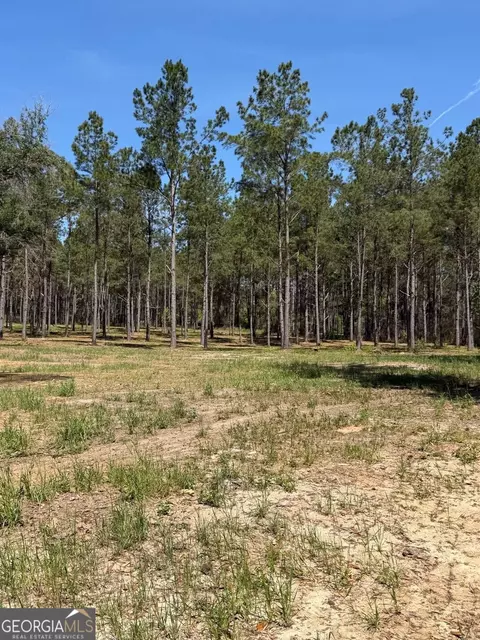 12 Acres Collins Rd, Cairo, GA 39828 photo 6