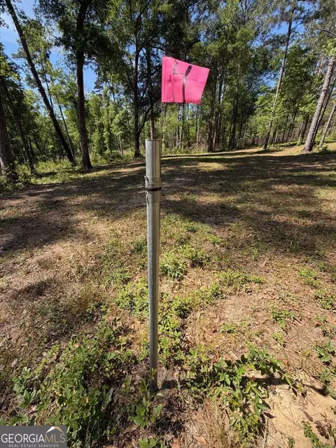 12 Acres Collins Rd, Cairo, GA 39828 photo 12