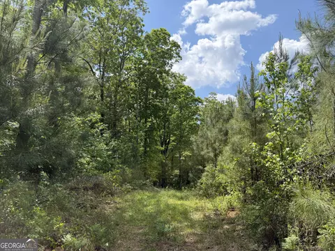 014 George Milling Rd, Cuthbert, GA 39840