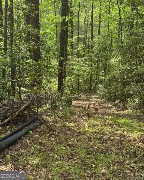 348 Hemlock Trl, Ellijay, GA 30540
