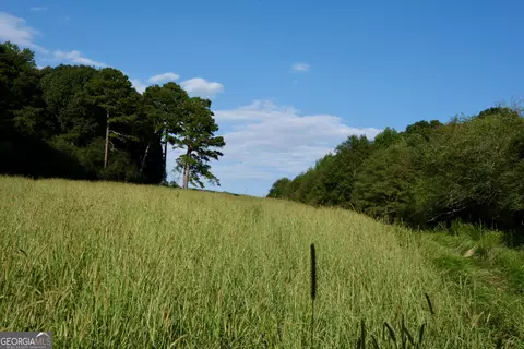 14 W L Williams Rd, Commerce, GA 30530 photo 9
