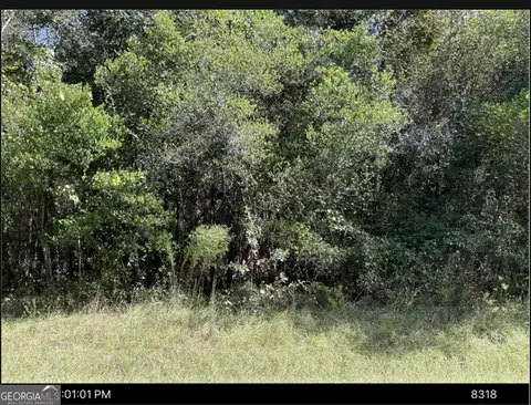 1875 Oochee Creek Rd, Toomsboro, GA 31090