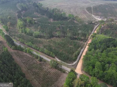 001 Old Poor Robin Tract 1, Sylvania, GA 30467