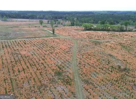 006 Beulah Road Tract 6, Sylvania, GA 30467