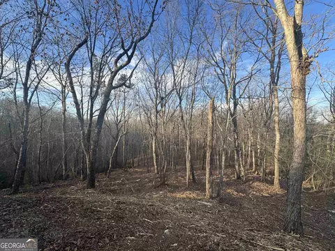lot57 Teel Mtn Dr, Cleveland, GA 30528