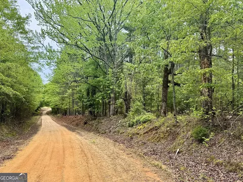1085 Roy Lawrence Rd, Sparta, GA 31087