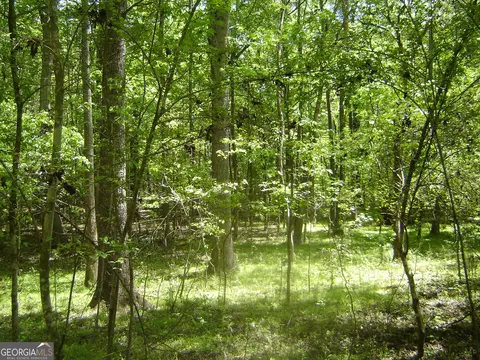 0 Liberty Hill Rd, Lagrange, GA 30240 photo 37