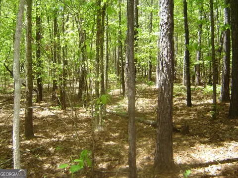 0 Liberty Hill Rd, Lagrange, GA 30240 photo 27