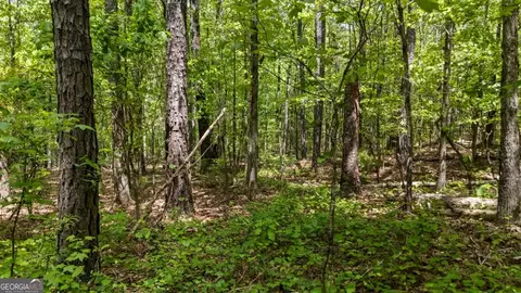 0 Liberty Hill Rd, Lagrange, GA 30240 photo 5