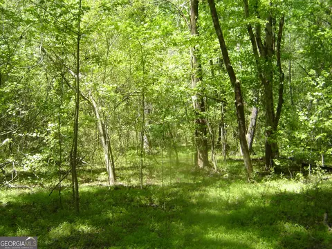 0 Liberty Hill Rd, Lagrange, GA 30240 photo 30