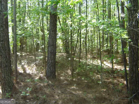 0 Liberty Hill Rd, Lagrange, GA 30240 photo 24